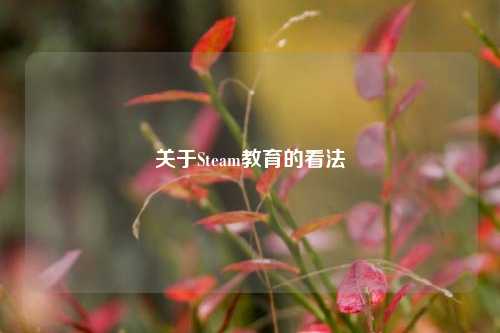 关于Steam教育的看法
