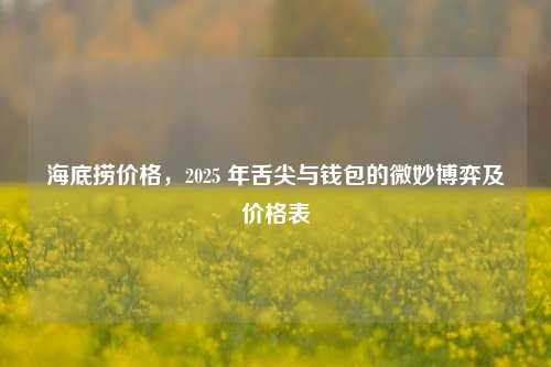 海底捞价格，2025 年舌尖与钱包的微妙博弈及价格表