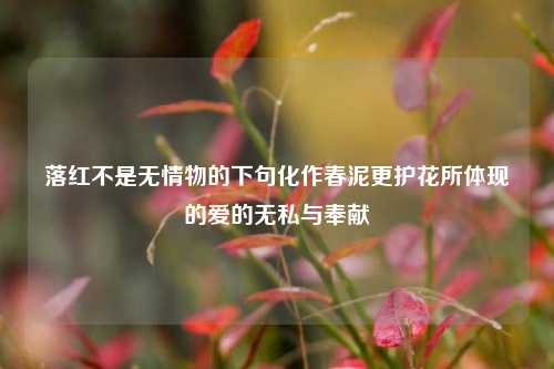 落红不是无情物的下句化作春泥更护花所体现的爱的无私与奉献