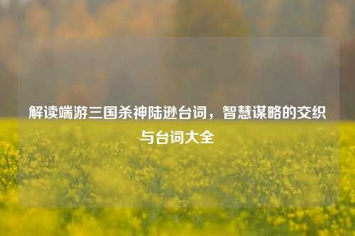 解读端游三国杀神陆逊台词，智慧谋略的交织与台词大全