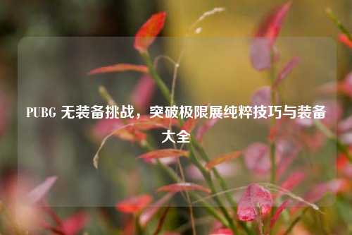 PUBG 无装备挑战，突破极限展纯粹技巧与装备大全