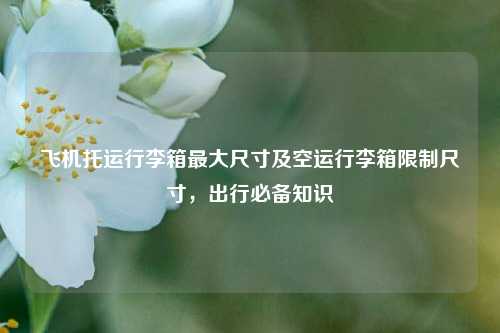 飞机托运行李箱最大尺寸及空运行李箱限制尺寸，出行必备知识