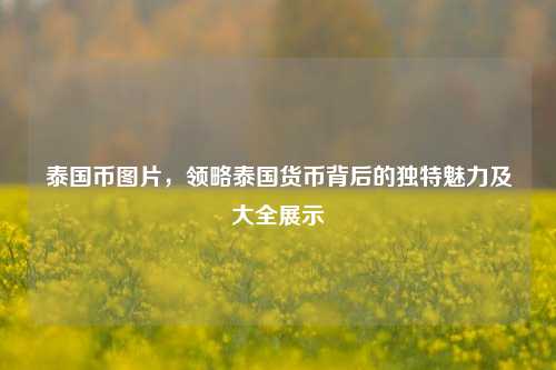 泰国币图片,领略泰国货币背后的独特魅力及大全展示