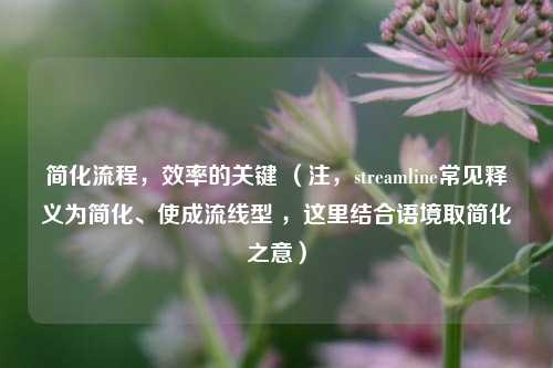 简化流程，效率的关键 （注，streamline常见释义为简化、使成流线型 ，这里结合语境取简化之意）