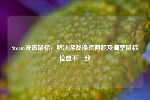Steam设置鼠标,解决游戏操控问题及调整鼠标位置不一致