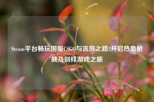 Steam平台畅玩国服CSGO与流放之路2开启热血枪战及别样游戏之旅