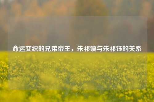 命运交织的兄弟帝王，朱祁镇与朱祁钰的关系