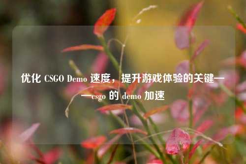 优化 CSGO Demo 速度，提升游戏体验的关键——csgo 的 demo 加速