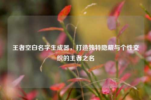 王者空白名字生成器，打造独特隐藏与个性交织的王者之名