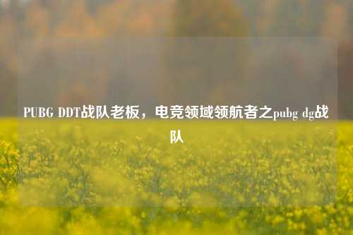 PUBG DDT战队老板，电竞领域领航者之pubg dg战队