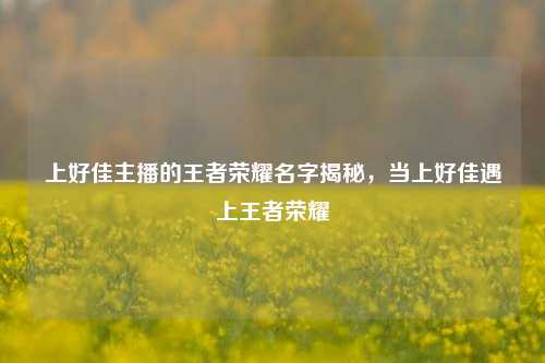 上好佳主播的王者荣耀名字揭秘，当上好佳遇上王者荣耀