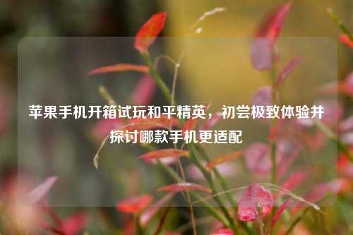 苹果手机开箱试玩和平精英,初尝极致体验并探讨哪款手机更适配