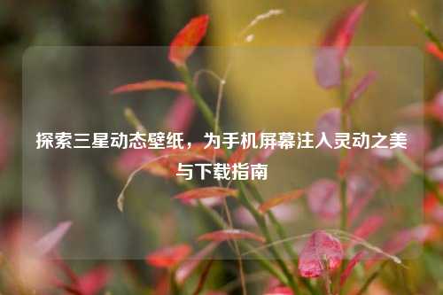 探索三星动态壁纸，为手机屏幕注入灵动之美与下载指南