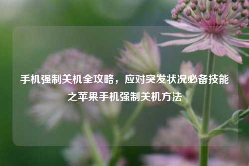 手机强制关机全攻略，应对突发状况必备技能之苹果手机强制关机方法