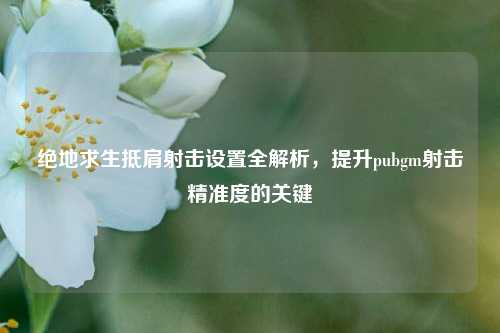绝地求生抵肩射击设置全解析,提升pubgm射击精准度的关键