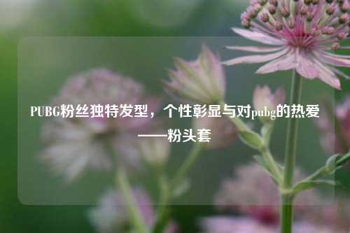 PUBG粉丝独特发型，个性彰显与对pubg的热爱——粉头套