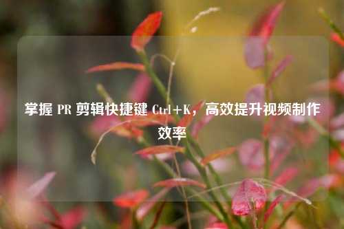 掌握 PR 剪辑快捷键 Ctrl+K，高效提升视频制作效率