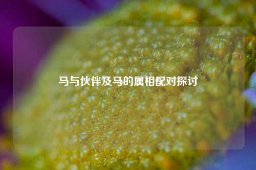 马与伙伴及马的属相配对探讨