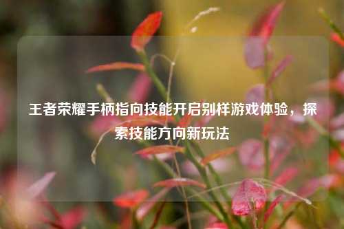 王者荣耀手柄指向技能开启别样游戏体验,探索技能方向新玩法