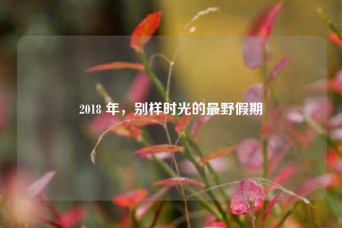 2018 年，别样时光的最野假期