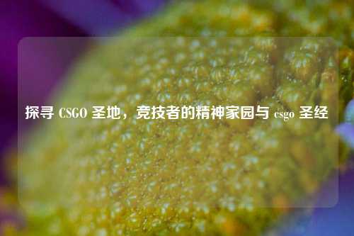 探寻 CSGO 圣地，竞技者的精神家园与 csgo 圣经