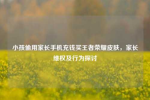 小孩偷用家长手机充钱买王者荣耀皮肤，家长维权及行为探讨