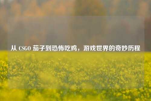 从 CSGO 茄子到恐怖吃鸡，游戏世界的奇妙历程