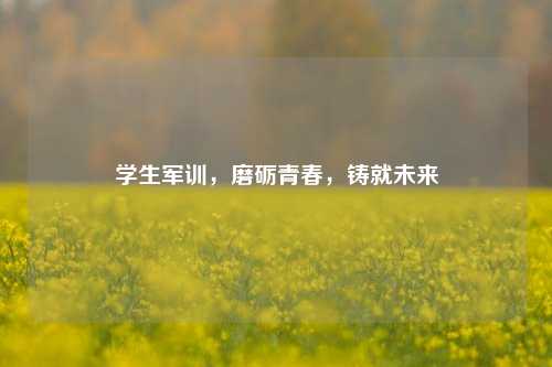 学生军训，磨砺青春，铸就未来