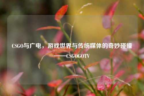 CSGO与广电,游戏世界与传统媒体的奇妙碰撞——CSGOGOTV