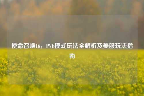 使命召唤16，PVE模式玩法全解析及美服玩法指南
