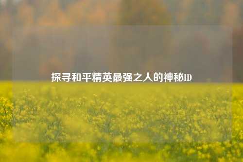 探寻和平精英最强之人的神秘ID