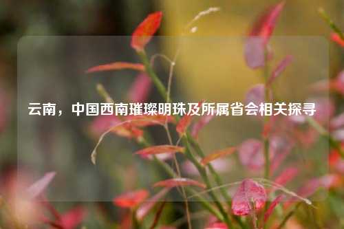 云南，中国西南璀璨明珠及所属省会相关探寻