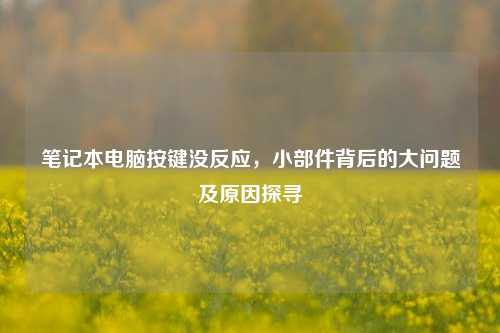 笔记本电脑按键没反应，小部件背后的大问题及原因探寻