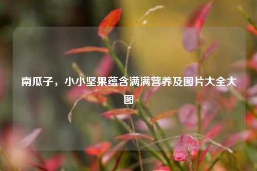 南瓜子,小小坚果蕴含满满营养及图片大全大图