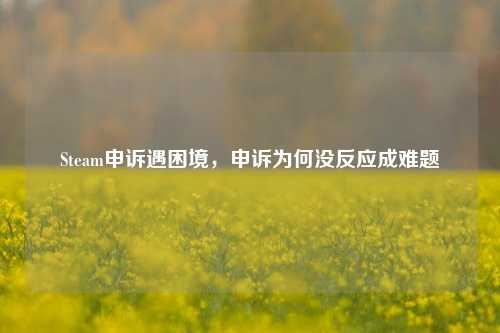 Steam申诉遇困境,申诉为何没反应成难题