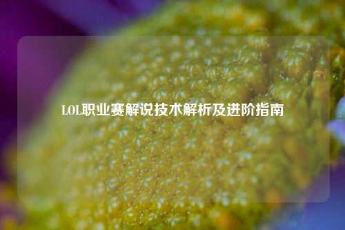 LOL职业赛解说技术解析及进阶指南