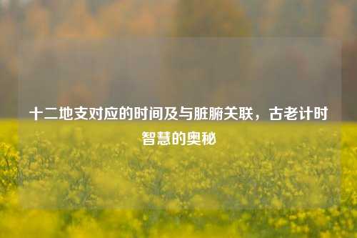 十二地支对应的时间及与脏腑关联,古老计时智慧的奥秘
