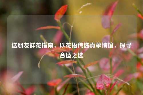 送朋友鲜花指南，以花语传递真挚情谊，探寻合适之选
