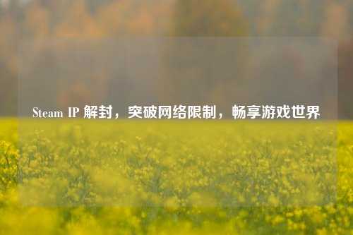 Steam IP 解封，突破网络限制，畅享游戏世界