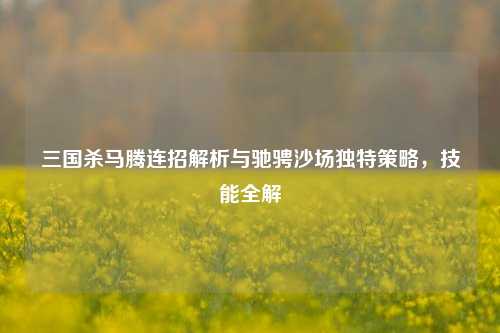 三国杀马腾连招解析与驰骋沙场独特策略,技能全解