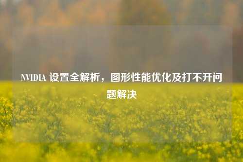NVIDIA 设置全解析,图形性能优化及打不开问题解决
