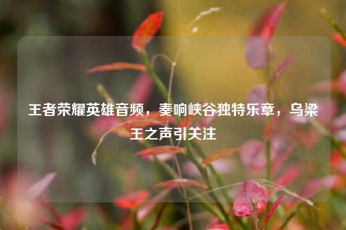 王者荣耀英雄音频，奏响峡谷独特乐章，乌梁王之声引关注