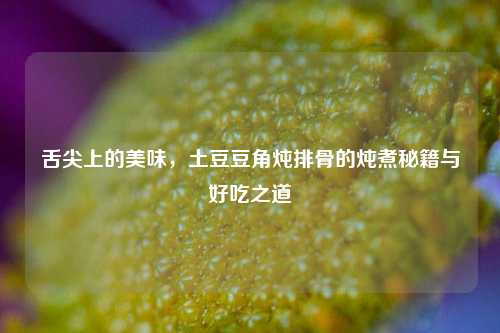 舌尖上的美味,土豆豆角炖排骨的炖煮秘籍与好吃之道