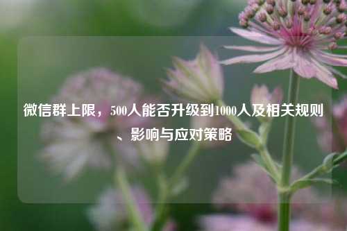 微信群上限，500人能否升级到1000人及相关规则、影响与应对策略