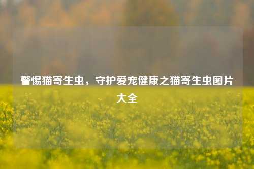 警惕猫寄生虫，守护爱宠健康之猫寄生虫图片大全
