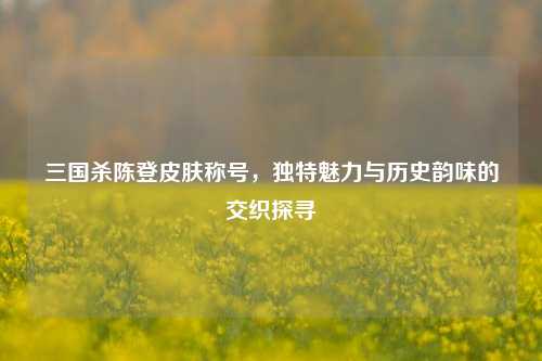 三国杀陈登皮肤称号,独特魅力与历史韵味的交织探寻