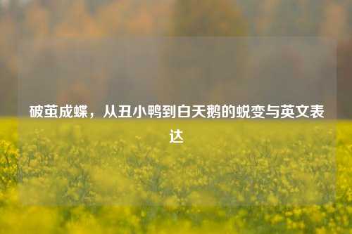 破茧成蝶,从丑小鸭到白天鹅的蜕变与英文表达