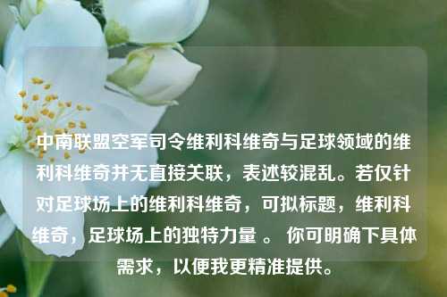 中南联盟空军司令维利科维奇与足球领域的维利科维奇并无直接关联,表述较混乱。若仅针对足球场上的维利科维奇,可拟标题,维利科维奇,足球场上的独特力量 。 你可明确下具体需求,以便我更精准提供。