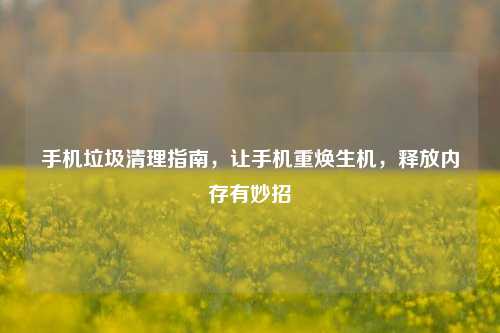 手机垃圾清理指南，让手机重焕生机，释放内存有妙招