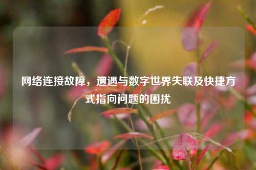 网络连接故障,遭遇与数字世界失联及快捷方式指向问题的困扰